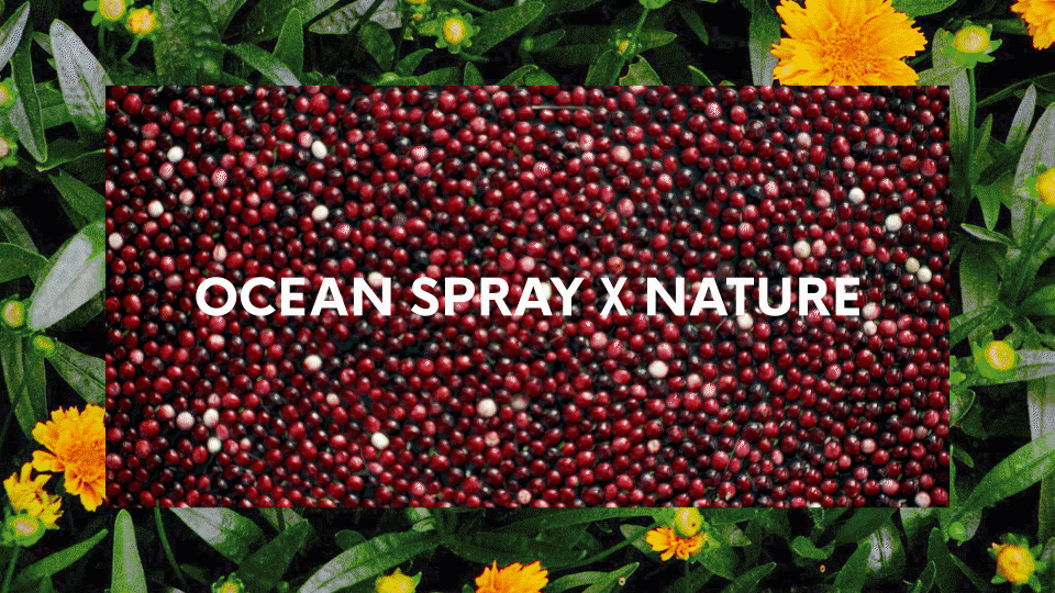 OS X NATURE // brand platform